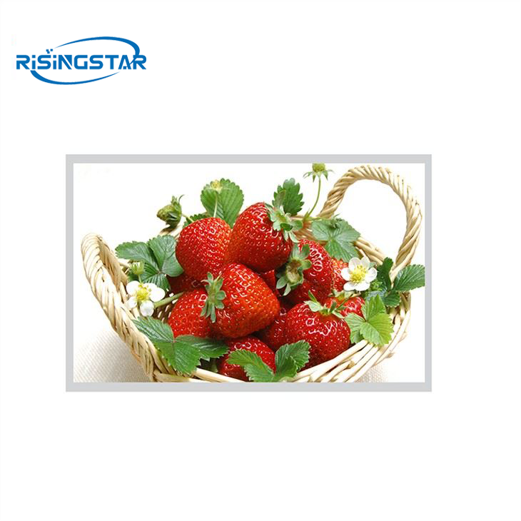 13.3 Inch 1000 Nits Sunlight Readable LCD Display