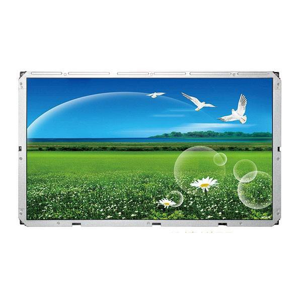 65 Inch 4K Garden TV Screen