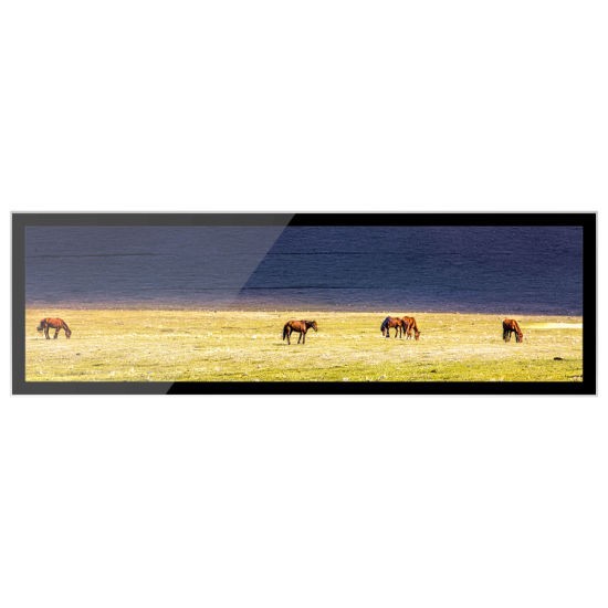 48.8 Inch Stretched LCD Display 1920*360